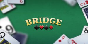 Bài Bridge là gì