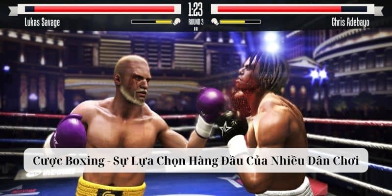 Cược Boxing - Sự Lựa Chọn Hàng Đầu Của Nhiều Dân Chơi 4 Cược boxing